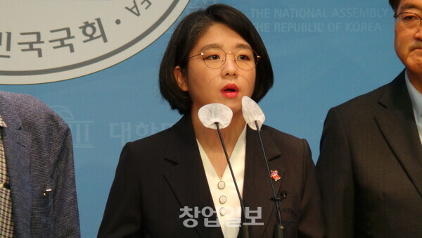 기본소득당 용해인 국회의원 (기본소득당 상임대표)