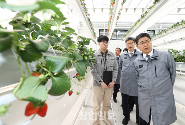 김창기 국세청장이 20일 대한제강(주)의 공장폐열을 스마트팜의 냉난방에 활용하는 기술에 대한 설명을 듣고 있다. 